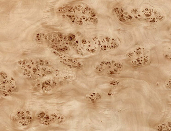 Mappa burl veneer from China