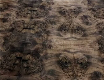walnut burl veneer walnut burl veneer