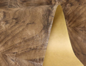 paper back walnut burl veneer Nogal raíz