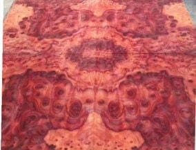 Camphor burl veneer Camphor burl veneer