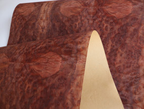 Camphor burl Raíz de alcanfor
