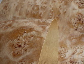 Fir Burl Fir Burl