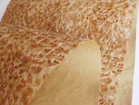 Golden Burl Veneer Golden Burl Veneer