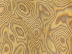 Oak burl veneer Oak burl veneer