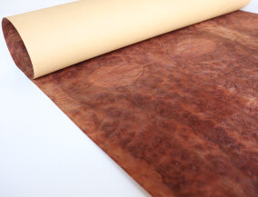 Paper back Camphor burl veneer