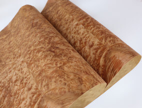 Paper back Golden Burl Veneer sheet Raíz de golden