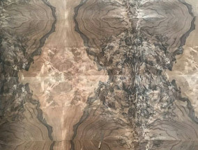 walnut burl matched veneer walnut burl matched veneer