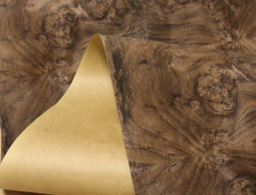 walnut burl burl veneer